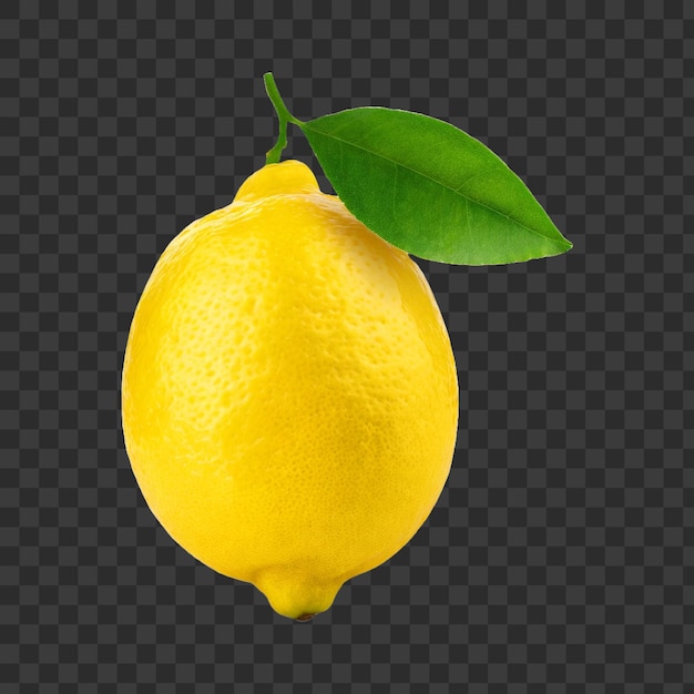 Yellow lemon with a green leaf