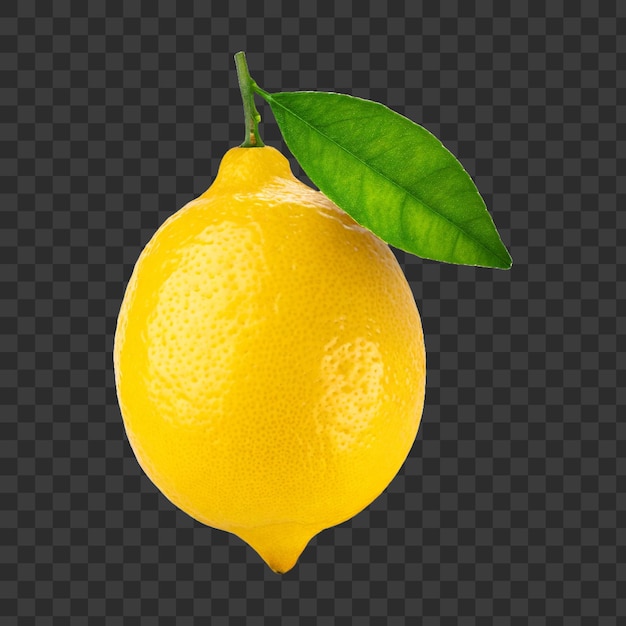 Yellow lemon with a green leaf