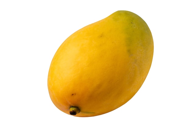 Yellow Mango On Alpha Layer