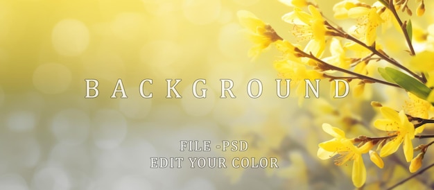 yellow spring flowers on sunlight background