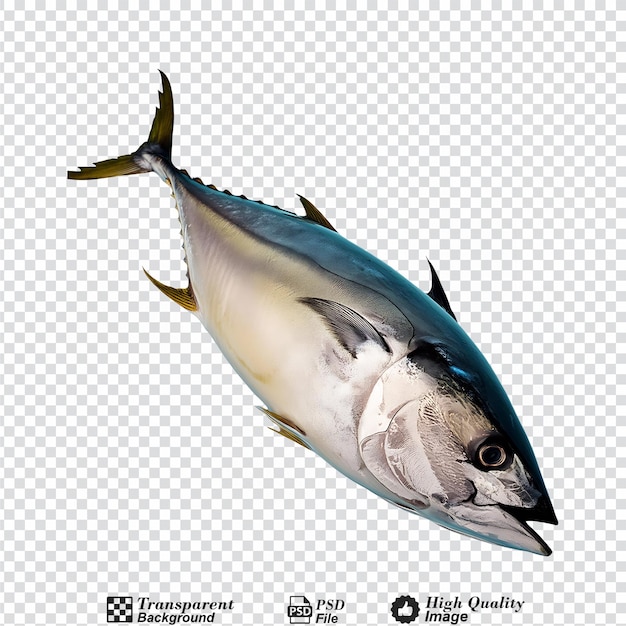 Yellowfin tuna isolated on transparent background