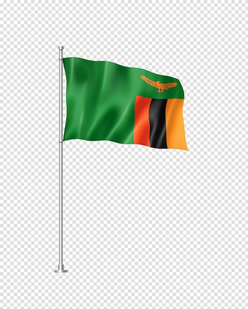 Zambian flag isolated on white