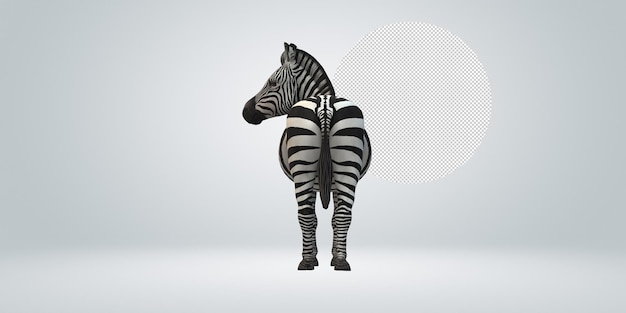 Zebra isolated on a Transparent Background