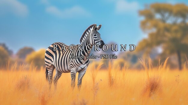 PSD zebra standing in yellow grass ai generated image