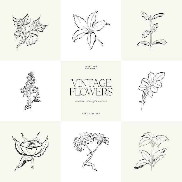 Vector 01flowersillustrationset