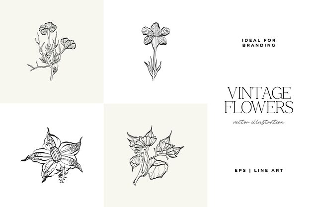 Vector 01flowersillustrationset