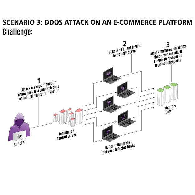 Vector 06 scenario 3 ddos attack on an ecommerce platform