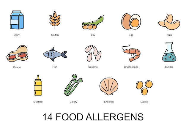 14 food allergens Set of color icons of basic allergens Vector illustration