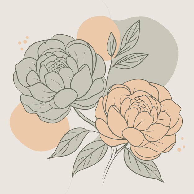 Vector 2 peony white background vector illustration line circuit