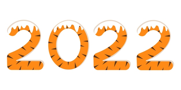 2022 New Year with tiger ornament