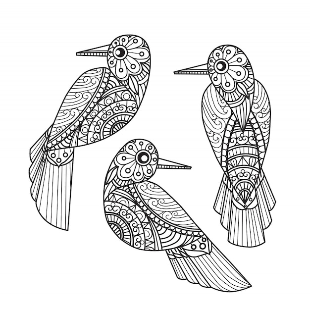 3 birds coloring pages for adults