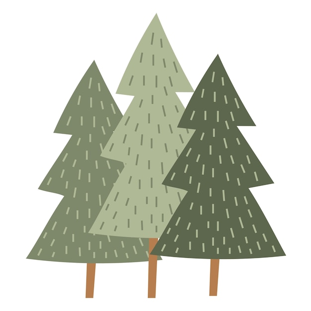 3 pines on isolated background