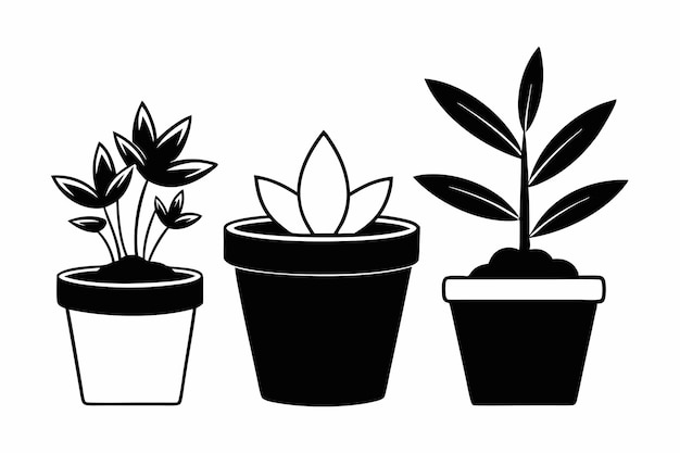 3 plant pots vector silhouette F