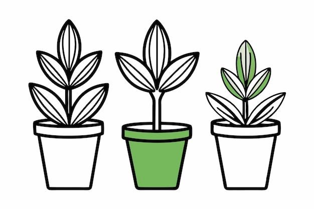 3 plant pots vector silhouette S