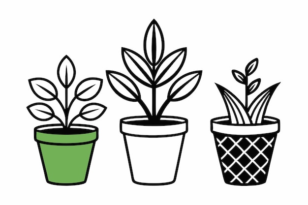 3 plant pots vector silhouette U