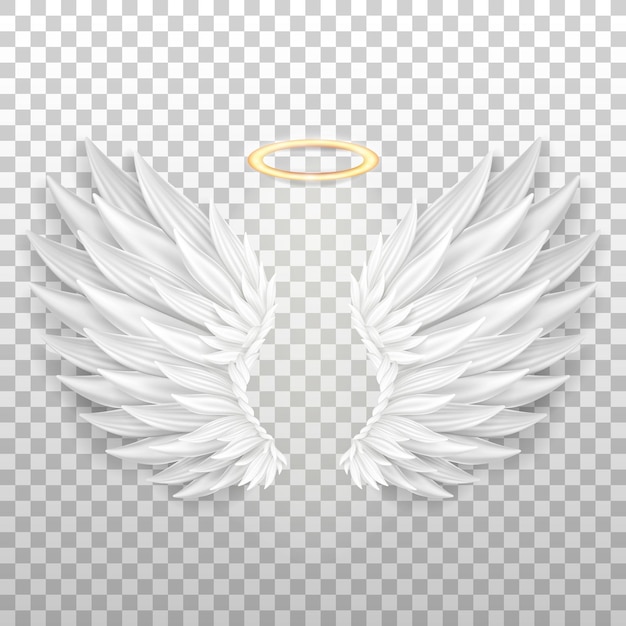 3D angel white wings and shiny nimbus. Realistic isolated saint aureole (halo) and wings