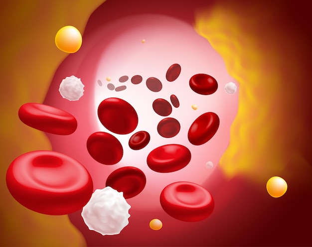 3D Illustration of red blood cells white blood cells and cholesterol clogging the cause of death