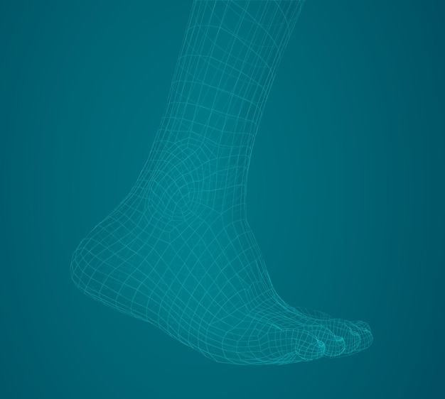 3d illustration of a vector of human feet walking along