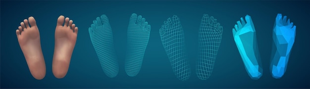 Vector 3d illustrationvector foot volume health and shoe selection