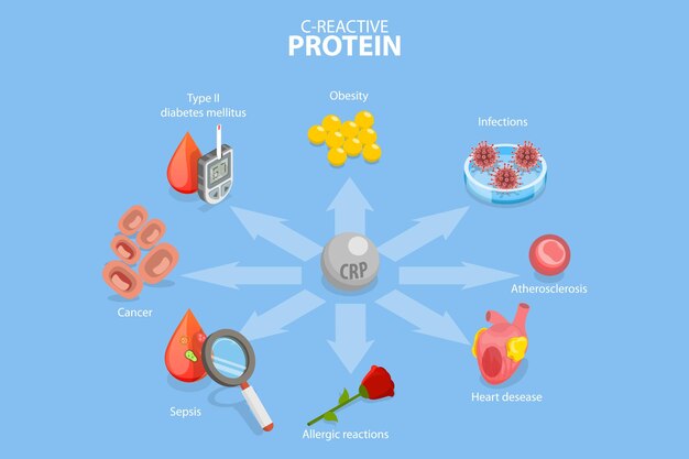 3D Isometric Flat Vector Conceptual Illustration of Creactive Protein