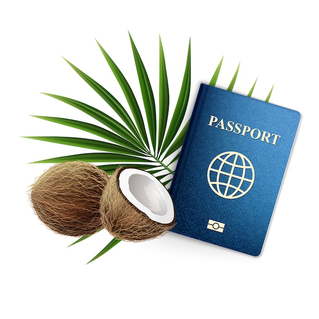 3D realistic Illustration. Travel banner, passport with coconuts and a palm branch. Isolated on White