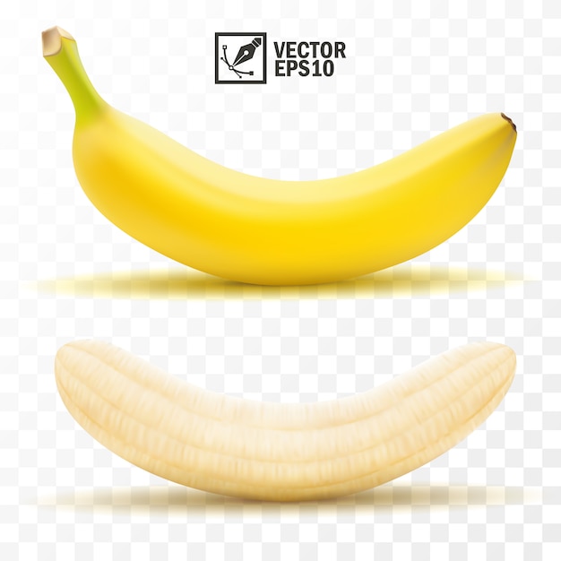 3d realistic isolated   peeled and whole banana fruit