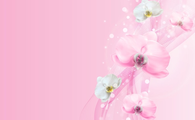 3D Realistic Natural pink orchid flower  Template