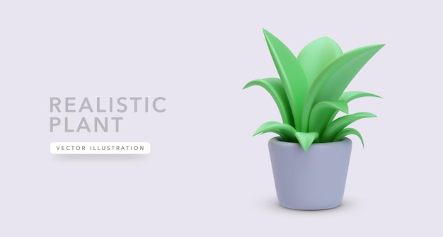 3d realistic plant in a flowerpot isolated on a light background Vector illustration