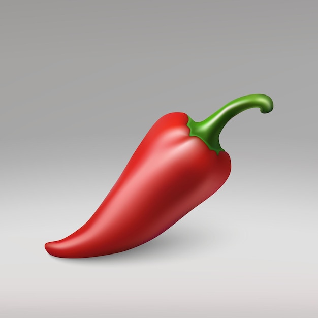 3d realistic Red hot natural chili pepper isolated image with shadow vector illustration