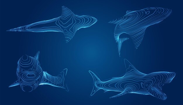 3d vector set. ocean protection. great white shark.