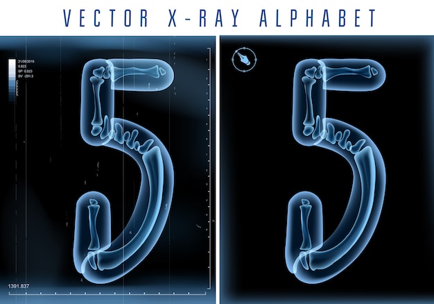  3D X-ray transparent alphabet use in logo or text. Number five 5