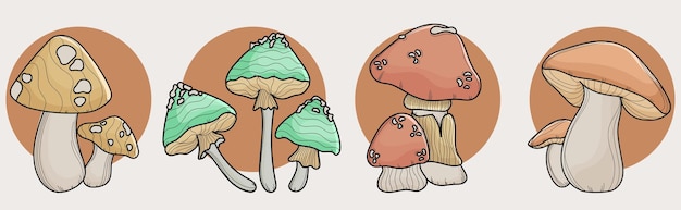 4 Different Types of Mushroom Illustrations 01