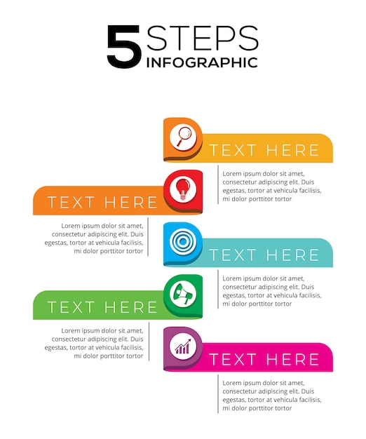 5 Steps Infographic