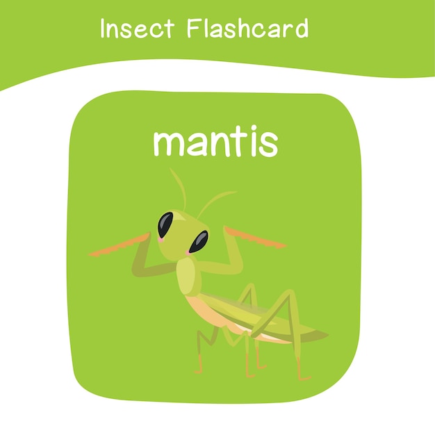 59 Insects Flashcard