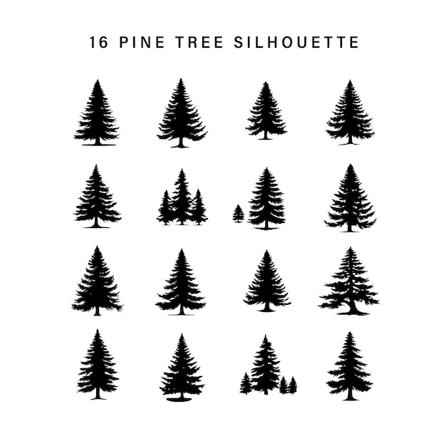 6 pine tree silhouette in white background