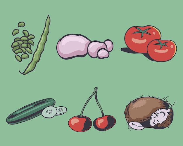 Vector 6 set vegetables vector illustration of peanut peanuts cucumber potato coconut and tomato