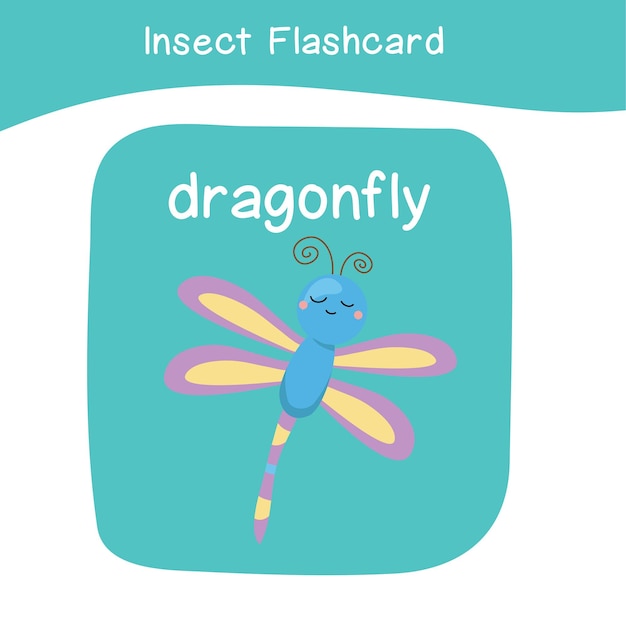 67 Insects Flashcard