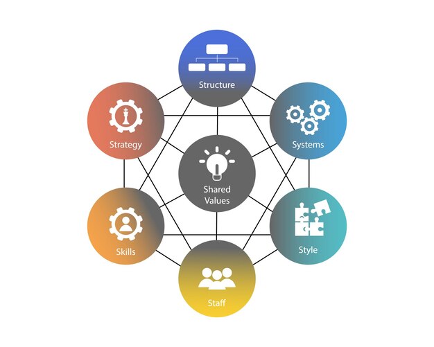 Vector 7s model refers to a tool that analyzes a company organizational design to depict how effectiveness