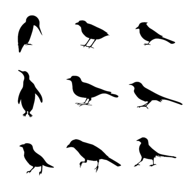 9 Bird Silhouette Premium Vector Set