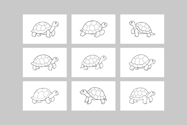 9 Elegant Russian Tortoise Vector Line Art Illustrations