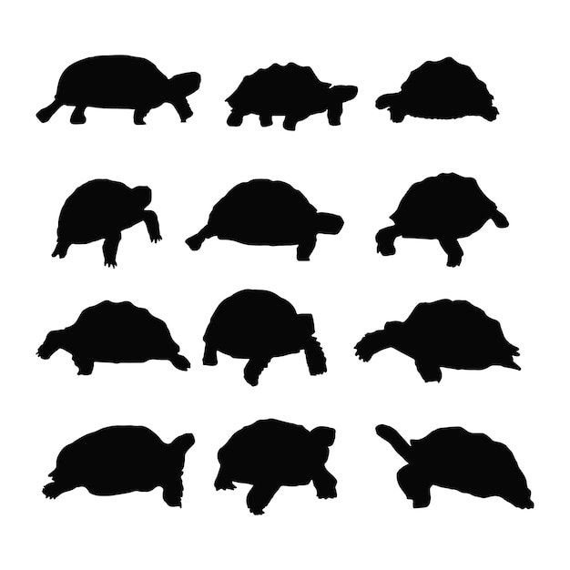 Vector abra ca giant tortoise silhouettes and icons black flat color simple elegant abra ca giant tortoise