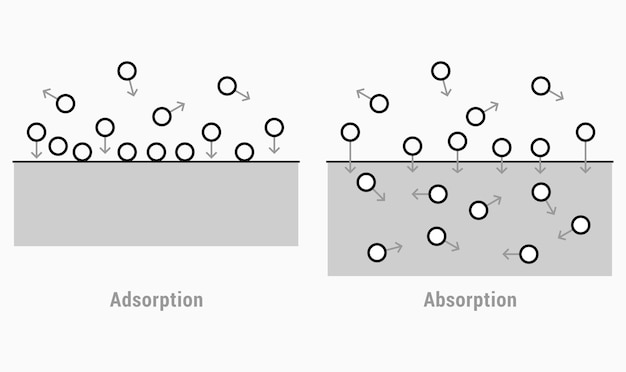 Vector absorption and adsorption