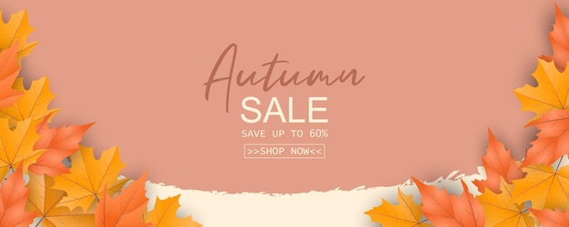 Abstract autumn sale banner on autumn leaves background