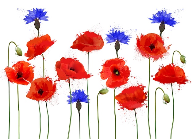 Abstract beautiful background with red poppies and blue cornflowers Vector