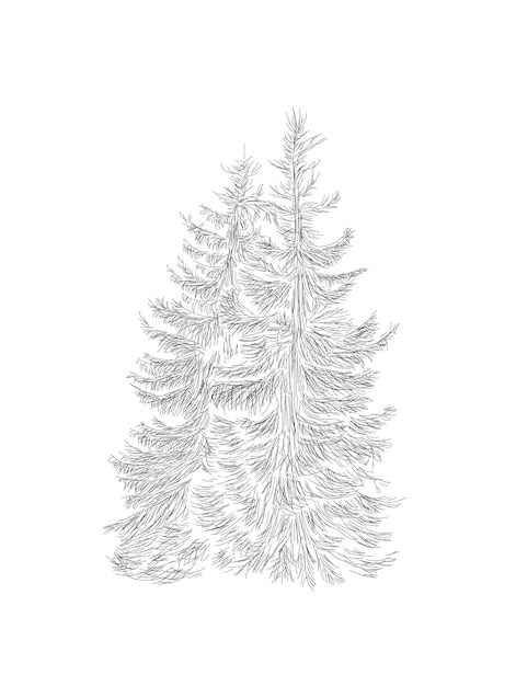 Abstract christmas tree with hand sketch line illustration for xmas