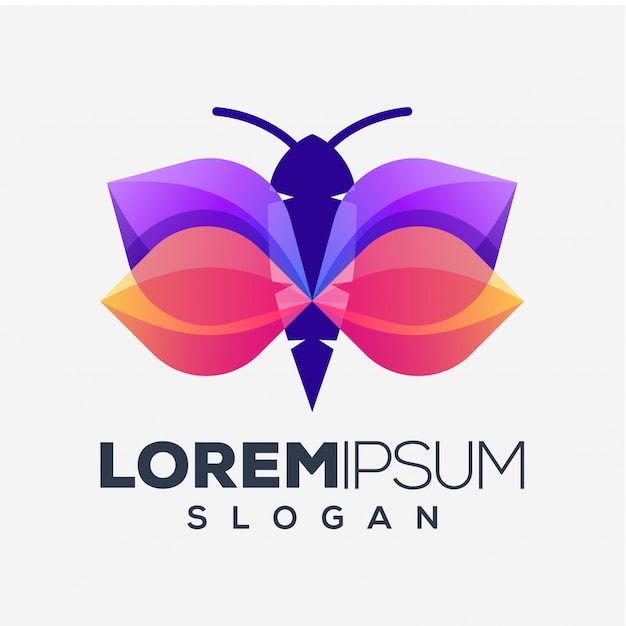 abstract colorful butterfly logo design