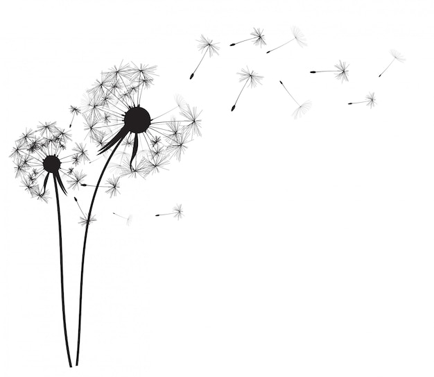 Abstract dandelion background  