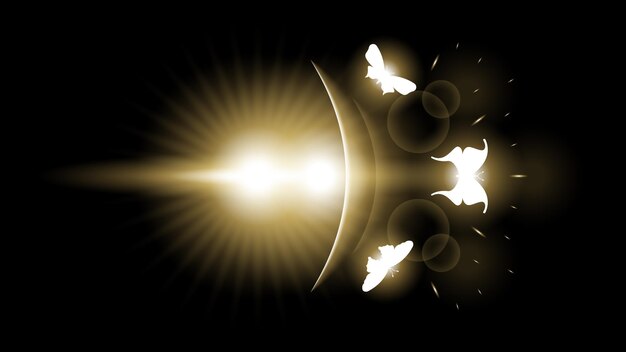 Abstract Dark Background With Butterflies Insects Glow Light Shine Flashes Vector Design Style