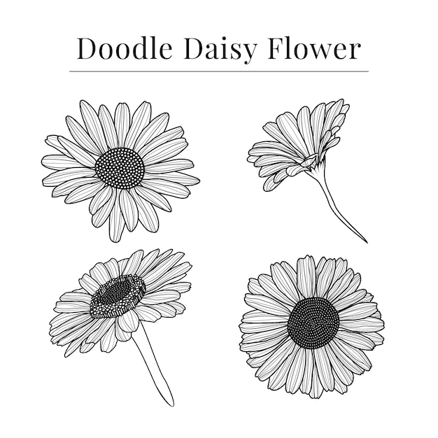 Abstract doodle shading daisy flower monochrome vintage retro wedding invitation ornament