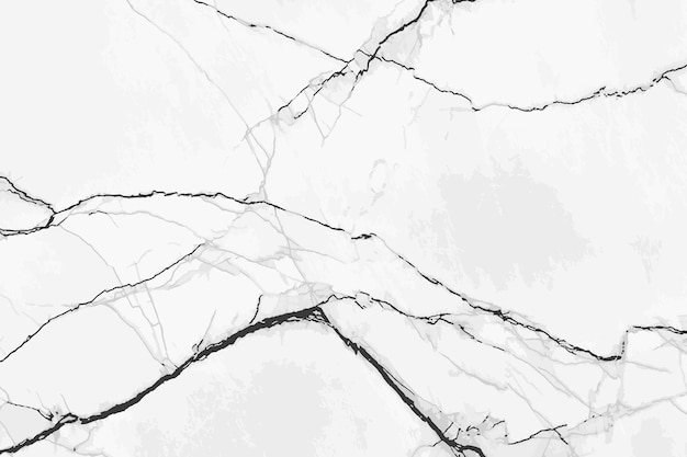 Abstract elegant and minimalist white marble texture background